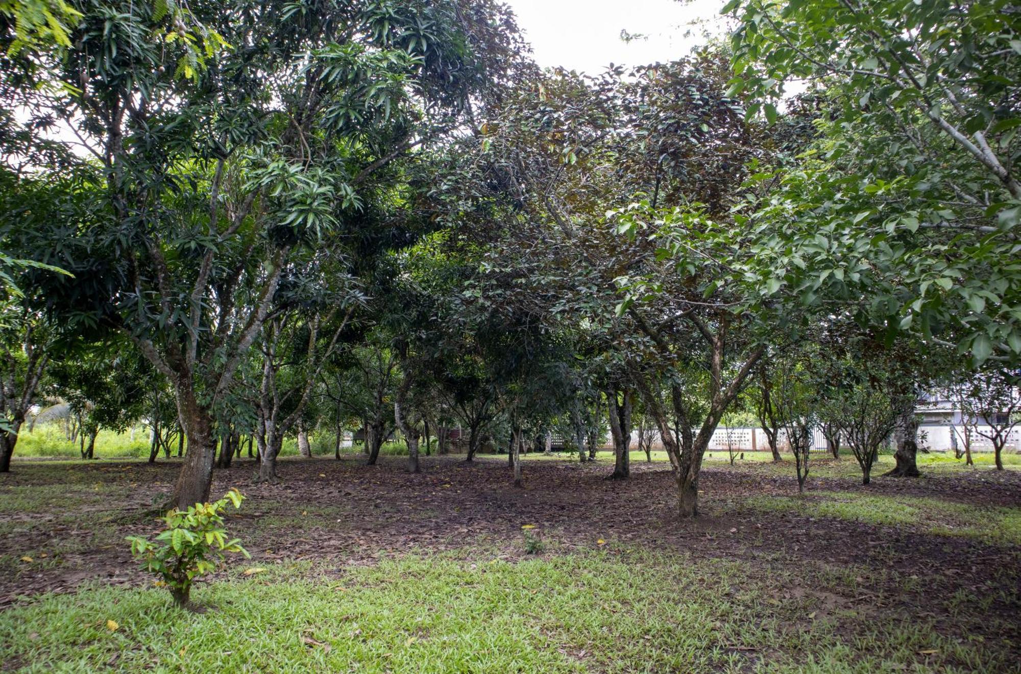 Sabajo Appartement Verhuur ปารามารีโบ ภายนอก รูปภาพ